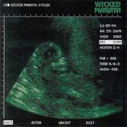 Wicked Maraya - Cycles