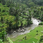 White Water Rafting (Bali, Indonesia)