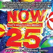 Various Artists - Now That&#39;s What I Call Music! 25