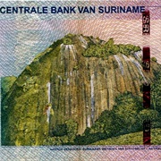 Surinamese Dollar