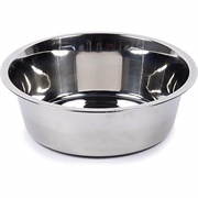 Dog Bowl