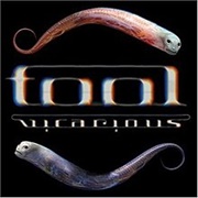 Vicarious - Tool