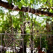 Create Some Spider Webs