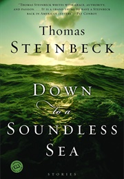 Down to a Soundless Sea (Thomas Steinbeck)