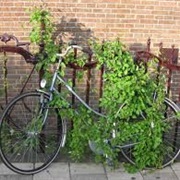 Cross the Borders on a Bicycle