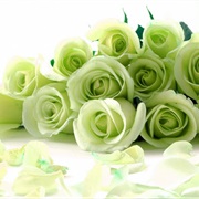 Green Rose