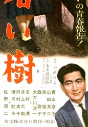 Young Tree (1956)