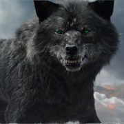 Fenris Wolf