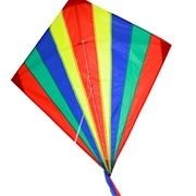 Kite Fighting