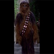 The Chewbacca