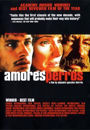 Amores Perros