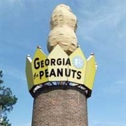 World&#39;s Largest Peanut