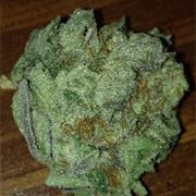 White Widow