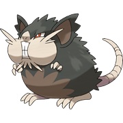 Alolan Raticate