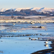 Morecombe Bay Inc Arnside &amp; Silverdale AONB &amp; Walney, England