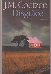 Disgrâce (John Michael Coetzee)