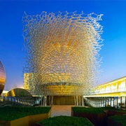 Wolfgang Buttress