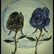 Blue and Black Roses Meagan Scribner