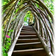 Open Air Stairs