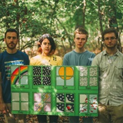 Pinegrove - New Friends