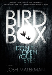 A Book About a Thing That Goes Bump in the Night (Bird Box)