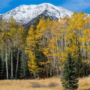 Hike the Inner Basin Trail