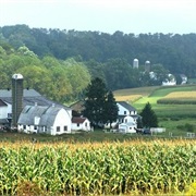 Amish Country Homestead