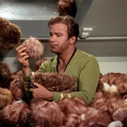 Tribbles