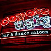 Coyote Ugly