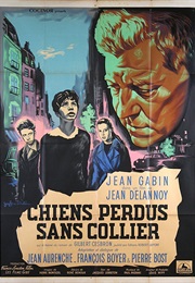 Chiens Perdus Sans Collier (1955)