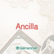 Ancilla