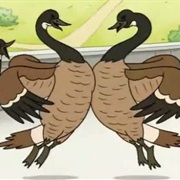 Geese