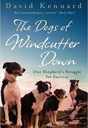 Dogs of Windcutter Down (David Kennard)