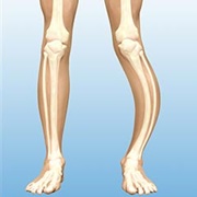 Paget&#39;s Disease of the Bone