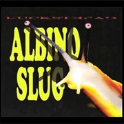 Albino Slug