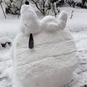 Build Snow Sculptures