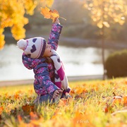 Play in a Pile of Leaves