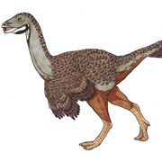 Caudipteryx