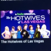 The Hotwives of Las Vegas