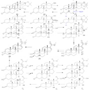 Cortisone and Cholesterol Synthesized (1951)