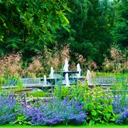 Cambridge University Botanic Garden