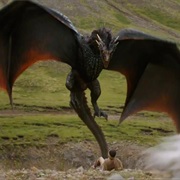 Drogon