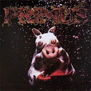 Pork Soda - Primus