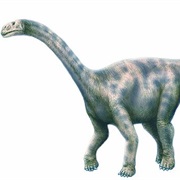 Nurosaurus