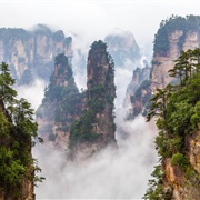 Zhangjiajie National Forest