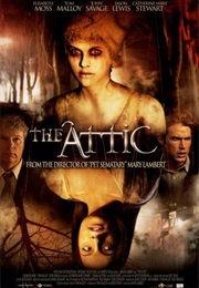 The Attic (2007)