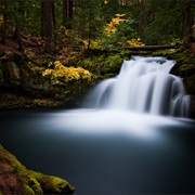 Umpqua National Forest Waterfalls, OR