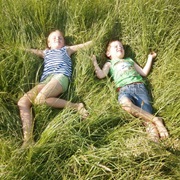 Laying in a Meadow