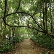 Parque Alfredo Volpi