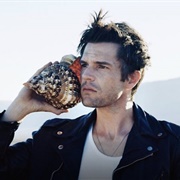 Brandon Flowers